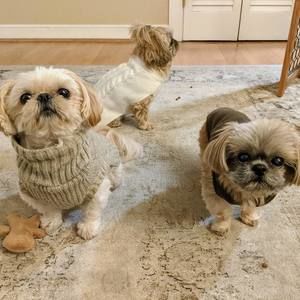 Meet your Posher, Rebecca